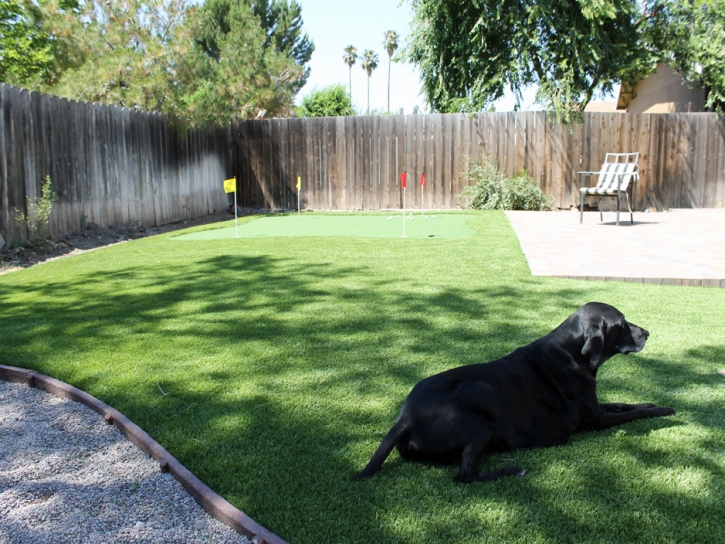 Artificial Lawn Merced, California How To Build A Putting Green, Beautiful Backyards