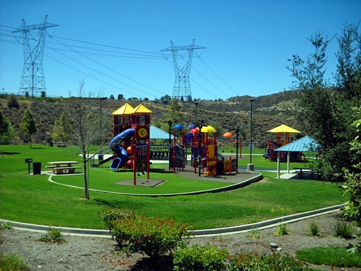 Artificial Lawn Planada, California Landscape Photos, Parks