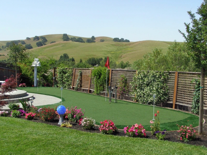 Artificial Lawn Snelling, California Office Putting Green, Backyard Garden Ideas