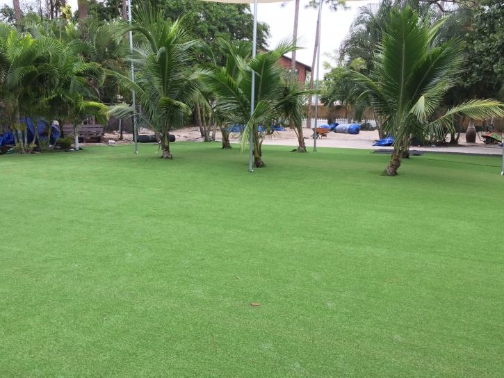 Artificial Turf Ballico, California Backyard Playground, Commercial Landscape