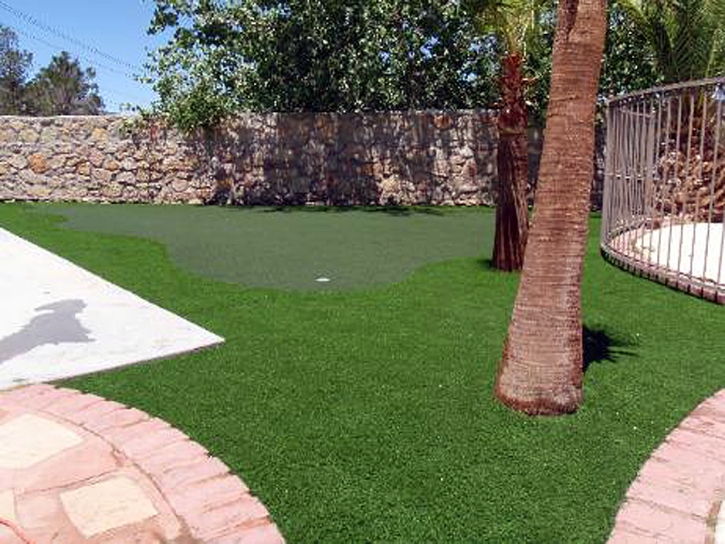 Artificial Turf Bear Creek, California Putting Green Carpet, Small Backyard Ideas