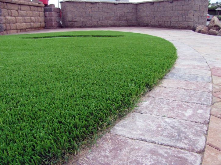 Artificial Turf Cost Dos Palos Y, California Artificial Grass For Dogs, Front Yard Landscaping