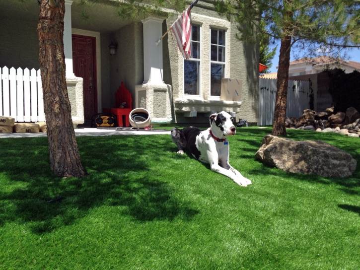 Artificial Turf Cost El Nido, California Landscape Design, Small Front Yard Landscaping