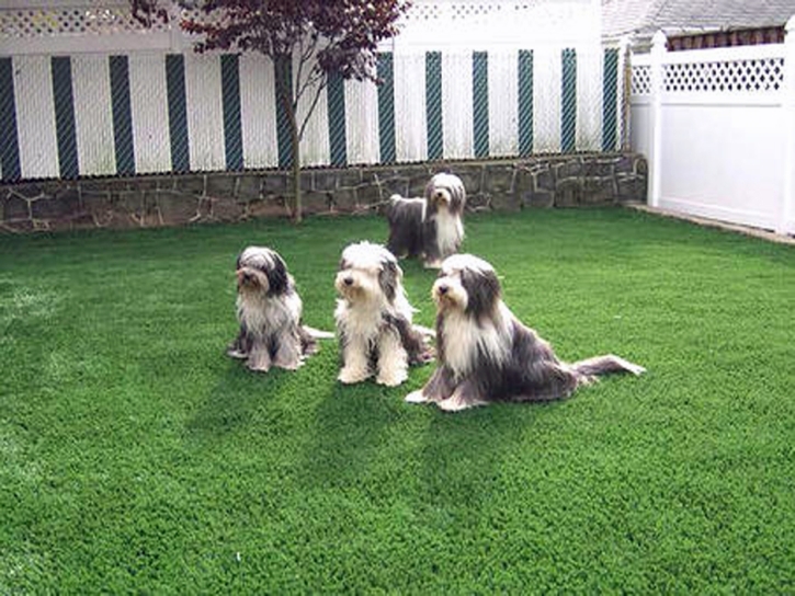 Artificial Turf Cost Planada, California Grass For Dogs, Backyard Ideas