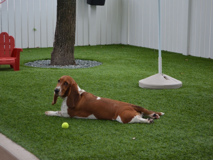 Artificial Turf Cressey, California Dog Run, Grass for Dogs