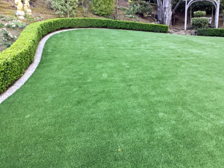 Artificial Turf Cressey, California Landscape Ideas, Backyard Designs