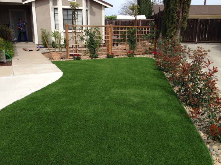 Artificial Turf Dos Palos, California Landscaping, Front Yard Landscape Ideas