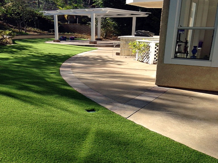 Artificial Turf Installation Delhi, California Dogs, Front Yard