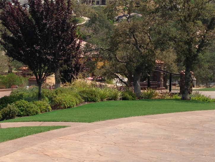 Artificial Turf Installation Delhi, California Lawns, Backyard Landscaping Ideas