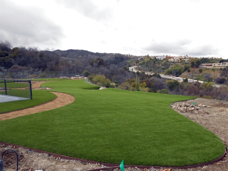 Artificial Turf Installation Delhi, California Backyard Soccer