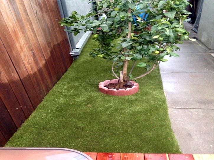 Artificial Turf Planada, California Dog Parks, Small Backyard Ideas