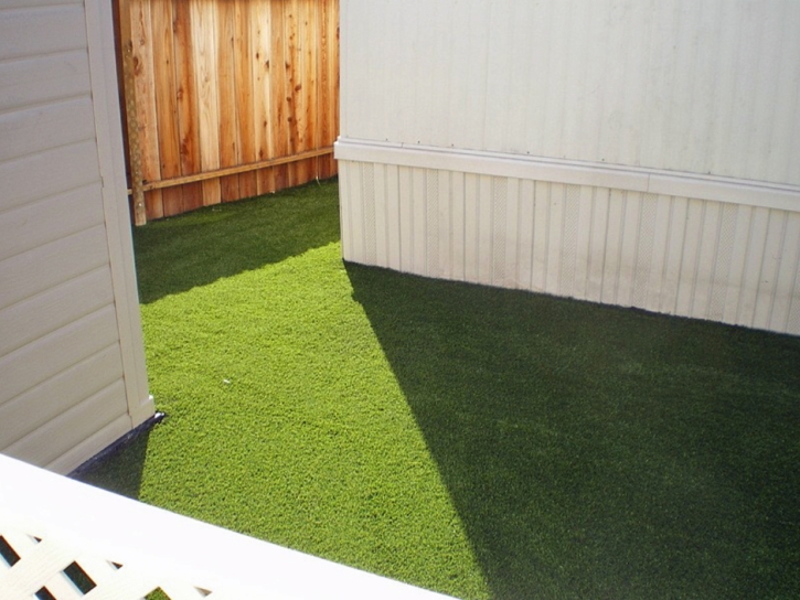 Best Artificial Grass Bear Creek, California Gardeners, Beautiful Backyards