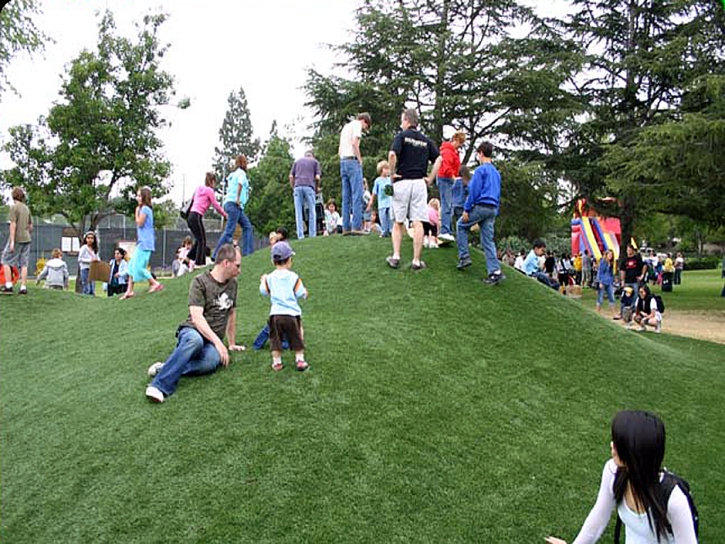 Best Artificial Grass Bear Creek, California Lawns, Recreational Areas