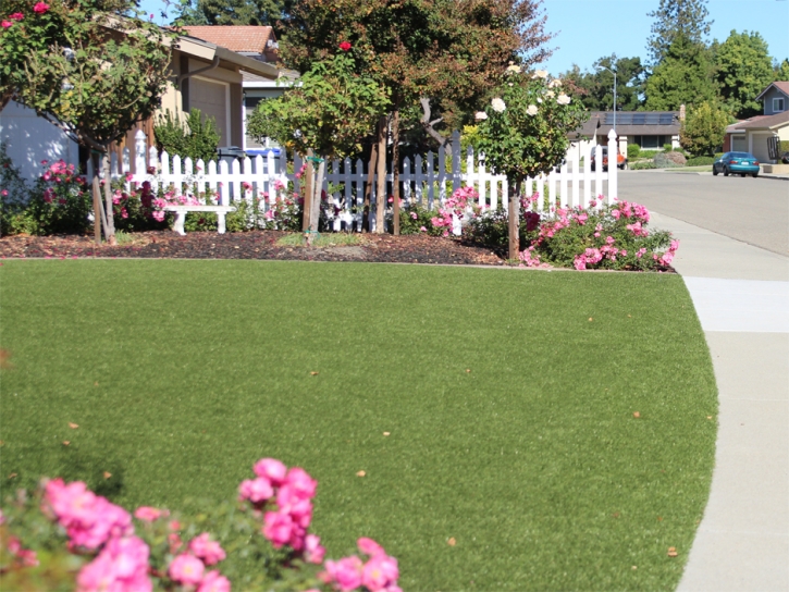 Best Artificial Grass Planada, California Backyard Deck Ideas, Front Yard