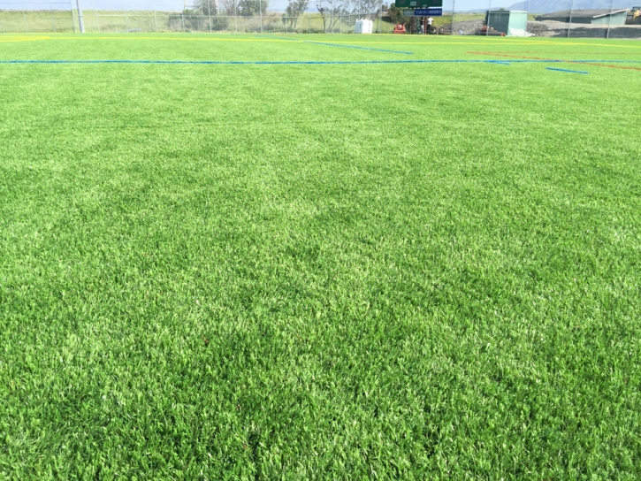 Best Artificial Grass Volta, California Sports Turf