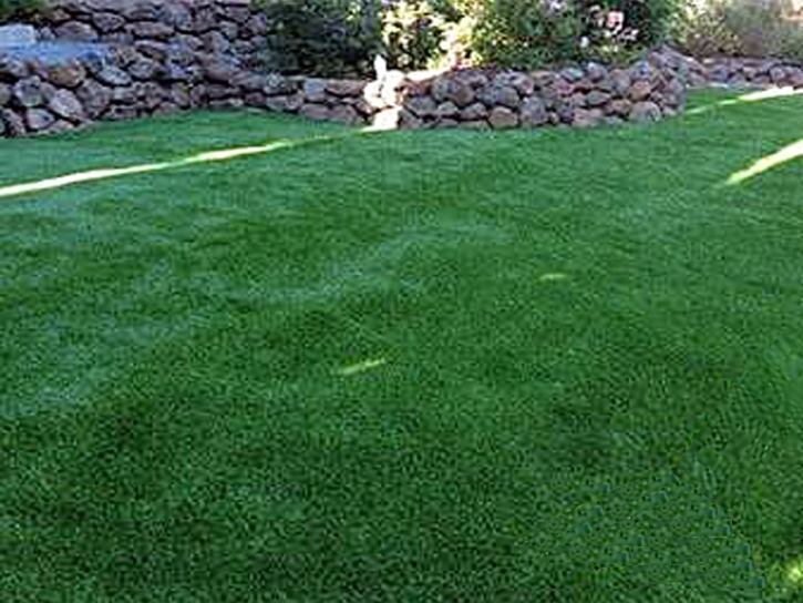 Fake Grass Carpet Cressey, California Landscape Ideas, Backyards