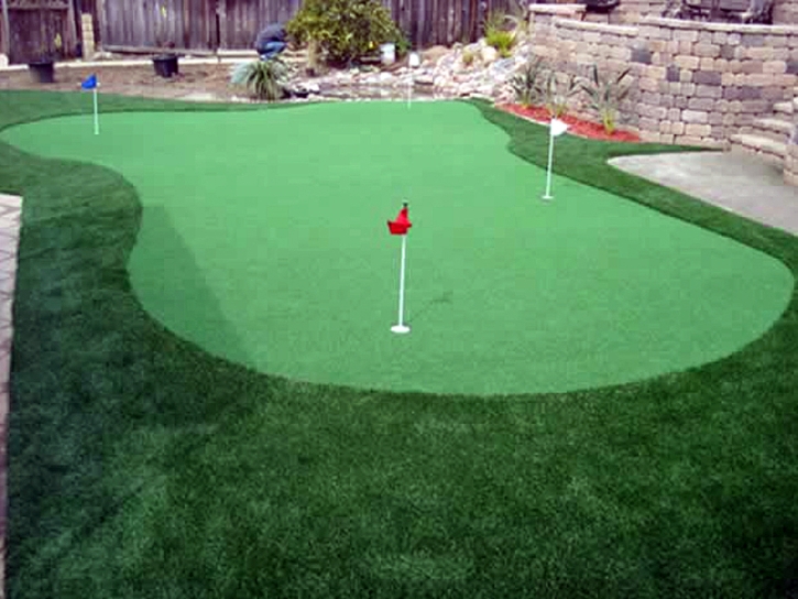 Fake Grass Carpet Dos Palos Y, California Diy Putting Green, Backyard Landscape Ideas