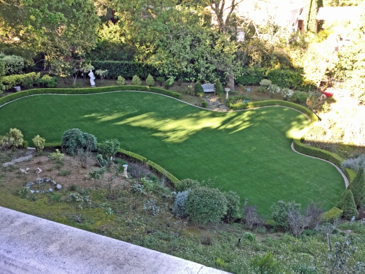Fake Grass Carpet Stevinson, California Gardeners, Small Backyard Ideas