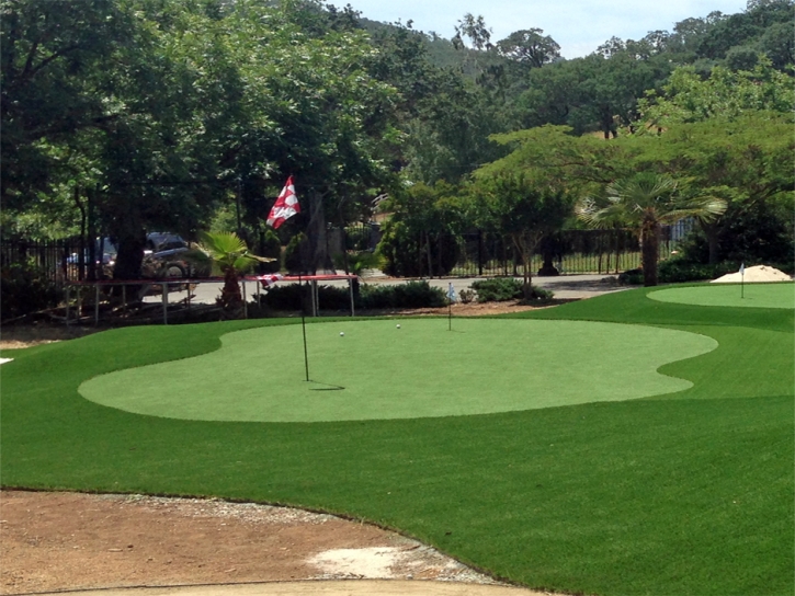 Fake Grass Carpet Winton, California Backyard Putting Green, Landscaping Ideas For Front Yard