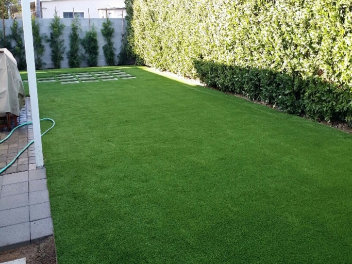 Fake Grass Le Grand, California Grass For Dogs, Backyard Design