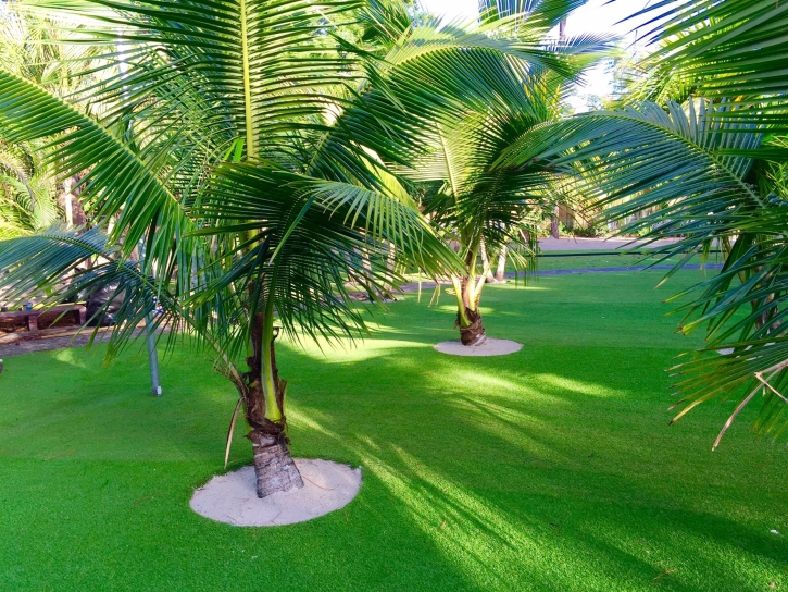 Fake Grass Snelling, California Home And Garden, Commercial Landscape