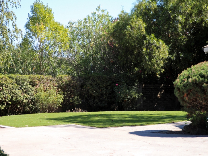 Fake Grass South Dos Palos, California Roof Top, Front Yard Landscaping Ideas