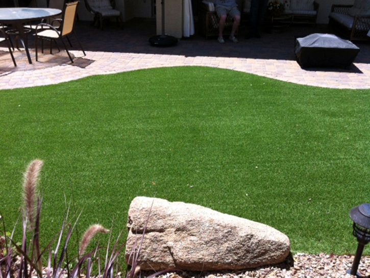 Fake Lawn Gustine, California Design Ideas, Backyard Design