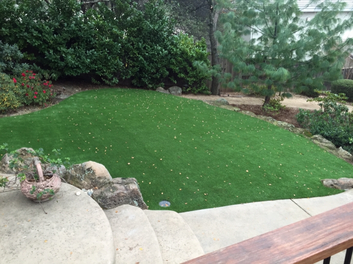 Faux Grass Gustine, California Lawn And Landscape, Backyard Landscaping Ideas