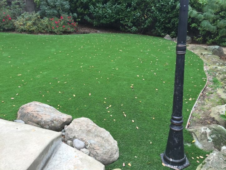 Grass Carpet Atwater, California Lawn And Landscape, Beautiful Backyards