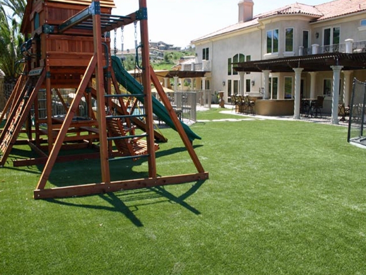 Grass Carpet Delhi, California Lawn And Garden, Backyard Landscape Ideas