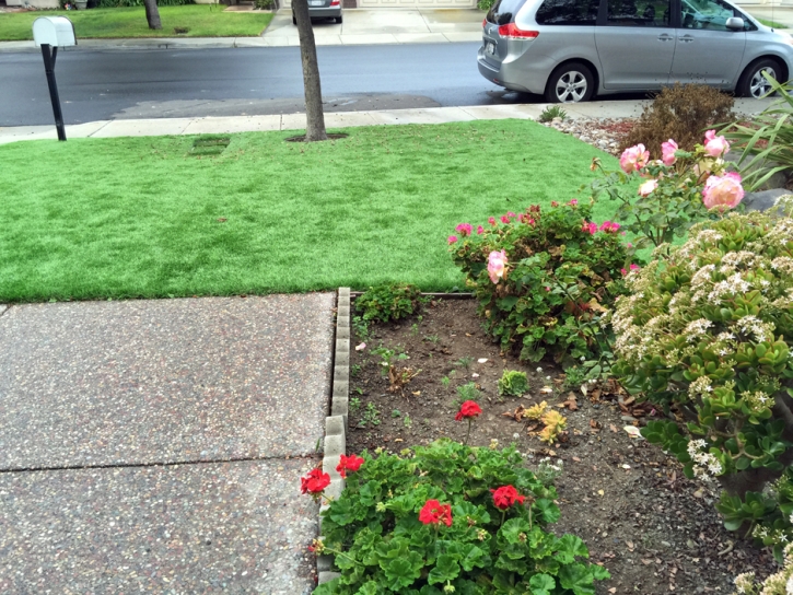 Grass Carpet Dos Palos Y, California Dog Park, Front Yard Ideas