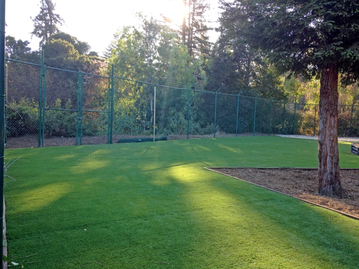 Grass Carpet El Nido, California Landscaping, Parks