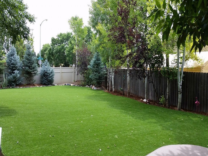 Grass Carpet Le Grand, California Cat Playground, Backyard Landscaping Ideas