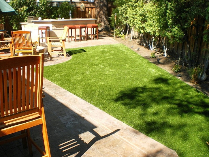 Grass Carpet Livingston, California City Landscape, Backyard Ideas