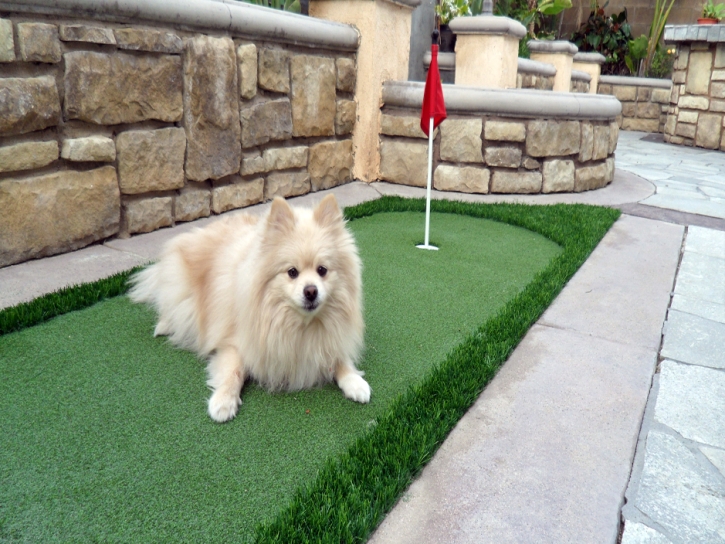 Grass Installation Los Banos, California Putting Green Carpet, Backyard Garden Ideas