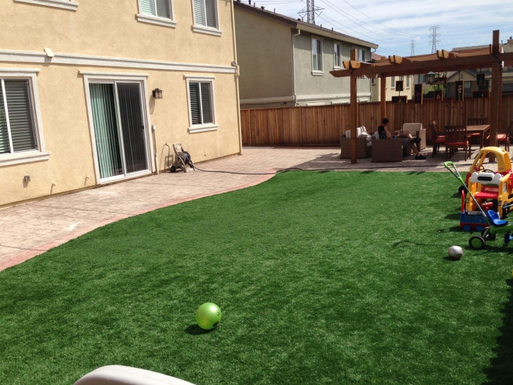 Grass Installation Stevinson, California Landscape Photos, Backyard Design