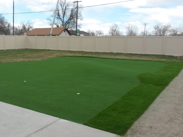 Grass Turf Winton, California Putting Greens, Backyard Designs