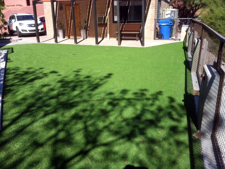Green Lawn Gustine, California Garden Ideas, Backyards