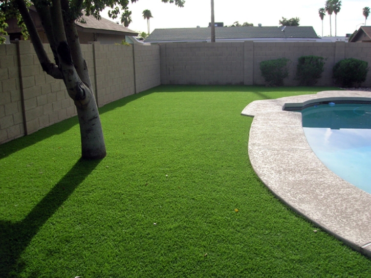 Green Lawn Gustine, California Landscape Rock, Kids Swimming Pools