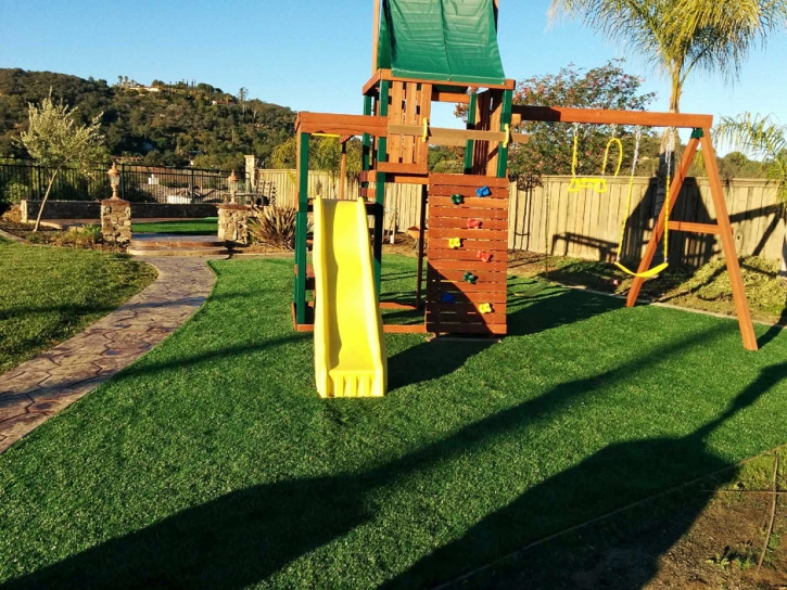 Green Lawn Livingston, California Backyard Playground, Backyards