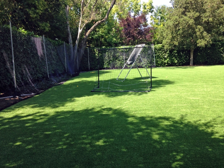 Green Lawn Tuttle, California Backyard Sports, Backyards