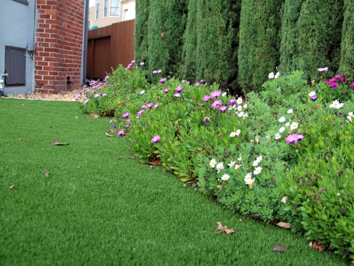 Green Lawn Tuttle, California Garden Ideas, Front Yard