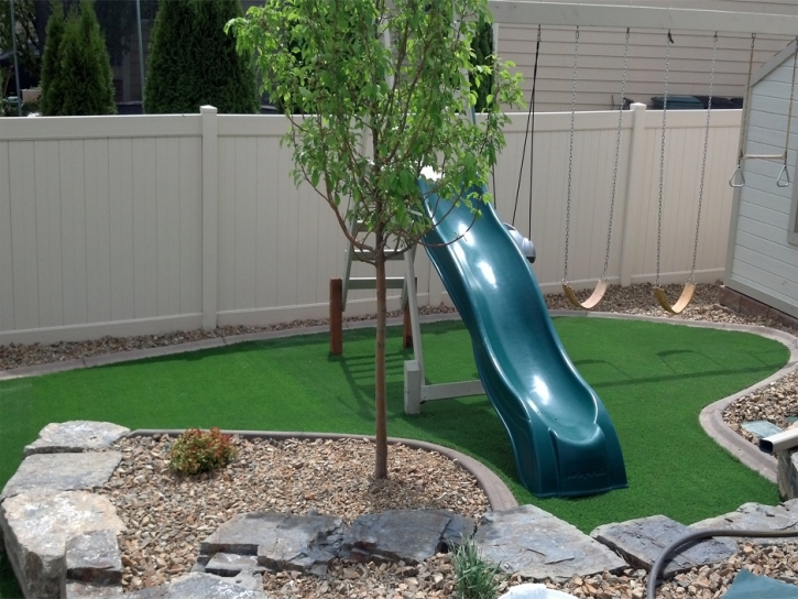 Green Lawn Winton, California Lawns, Backyard Landscaping Ideas