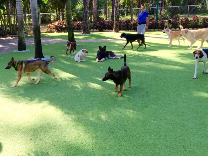 How To Install Artificial Grass Dos Palos, California Pet Turf, Dogs