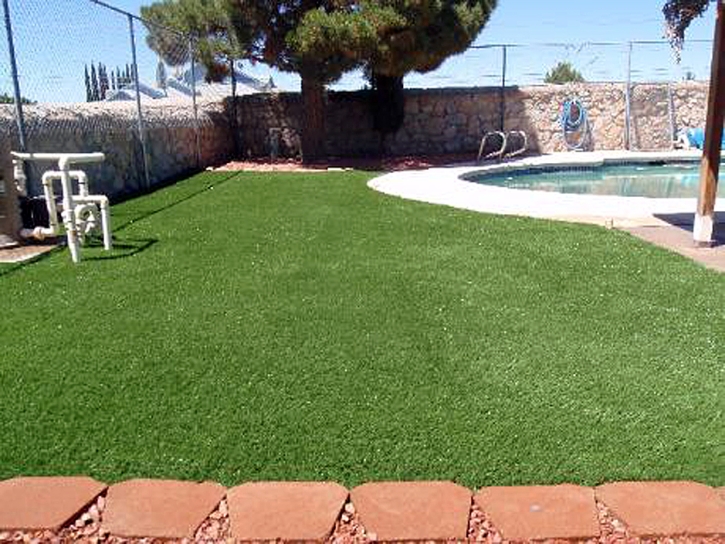 How To Install Artificial Grass Volta, California Hotel For Dogs, Backyard Pool