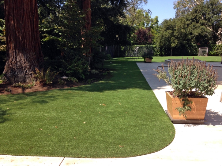 Installing Artificial Grass Los Banos, California Cat Playground, Front Yard Landscaping Ideas