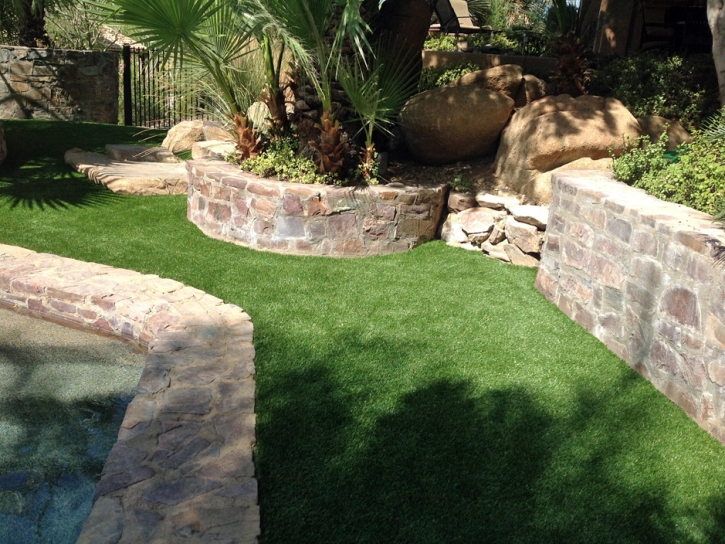 Outdoor Carpet Dos Palos, California Dog Parks, Beautiful Backyards