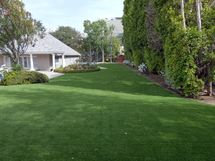 Outdoor Carpet Hilmar-Irwin, California Cat Playground, Front Yard Landscaping Ideas