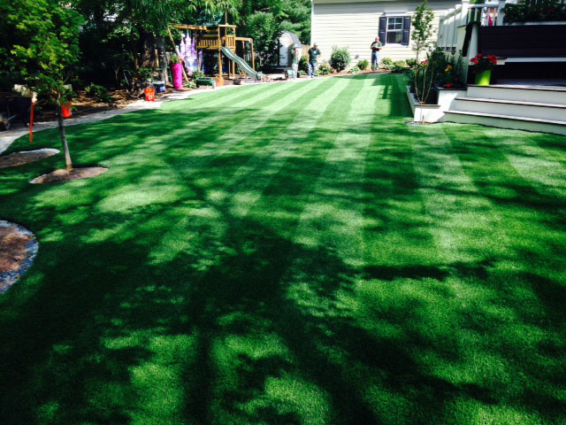 Outdoor Carpet Hilmar-Irwin, California Landscape Ideas, Backyard Garden Ideas