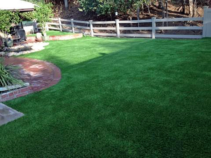 Outdoor Carpet Livingston, California Dog Running, Backyard Ideas